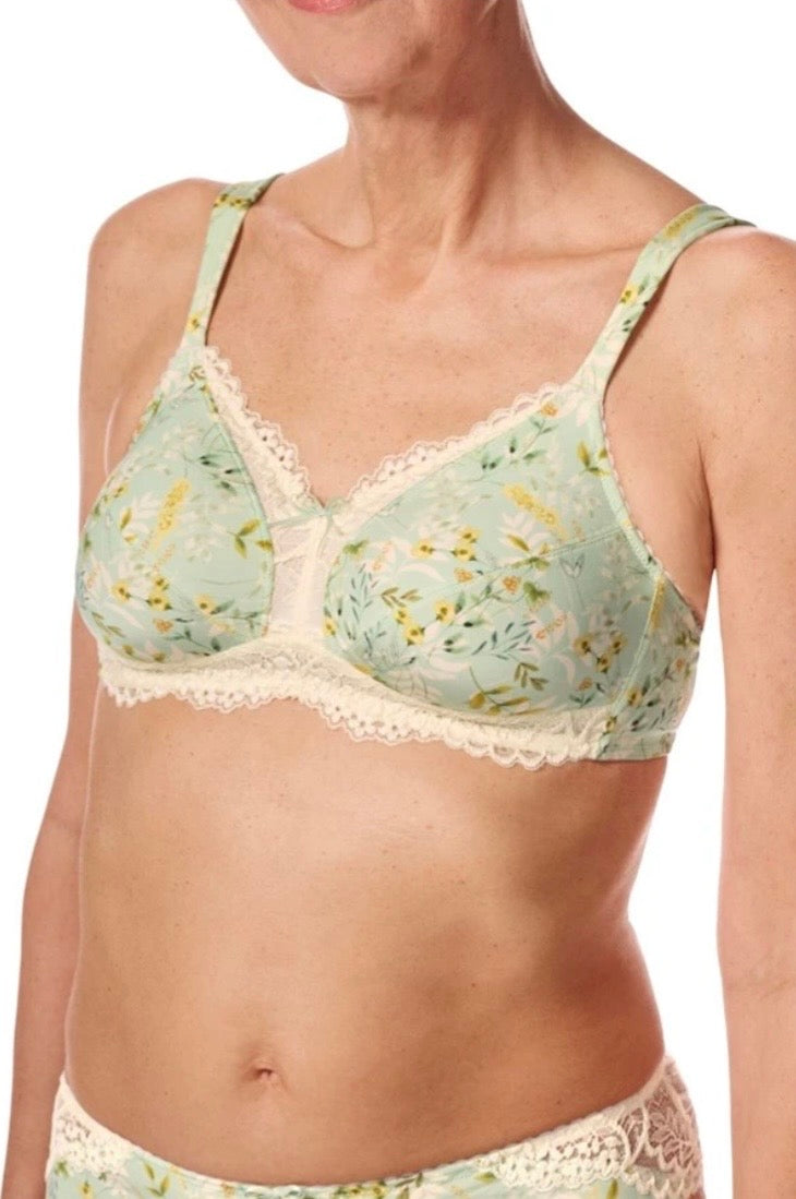 Kalina Bra