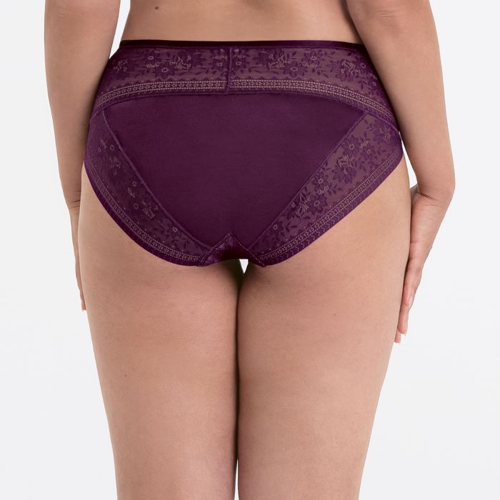 Rosemary High Waist Brief