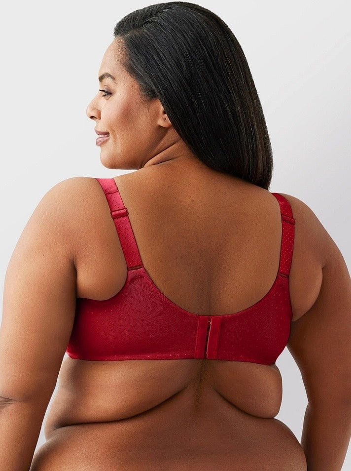 Back Appeal Underwire Plus