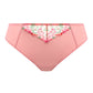 Aerith Brazilian Brief, Rose
