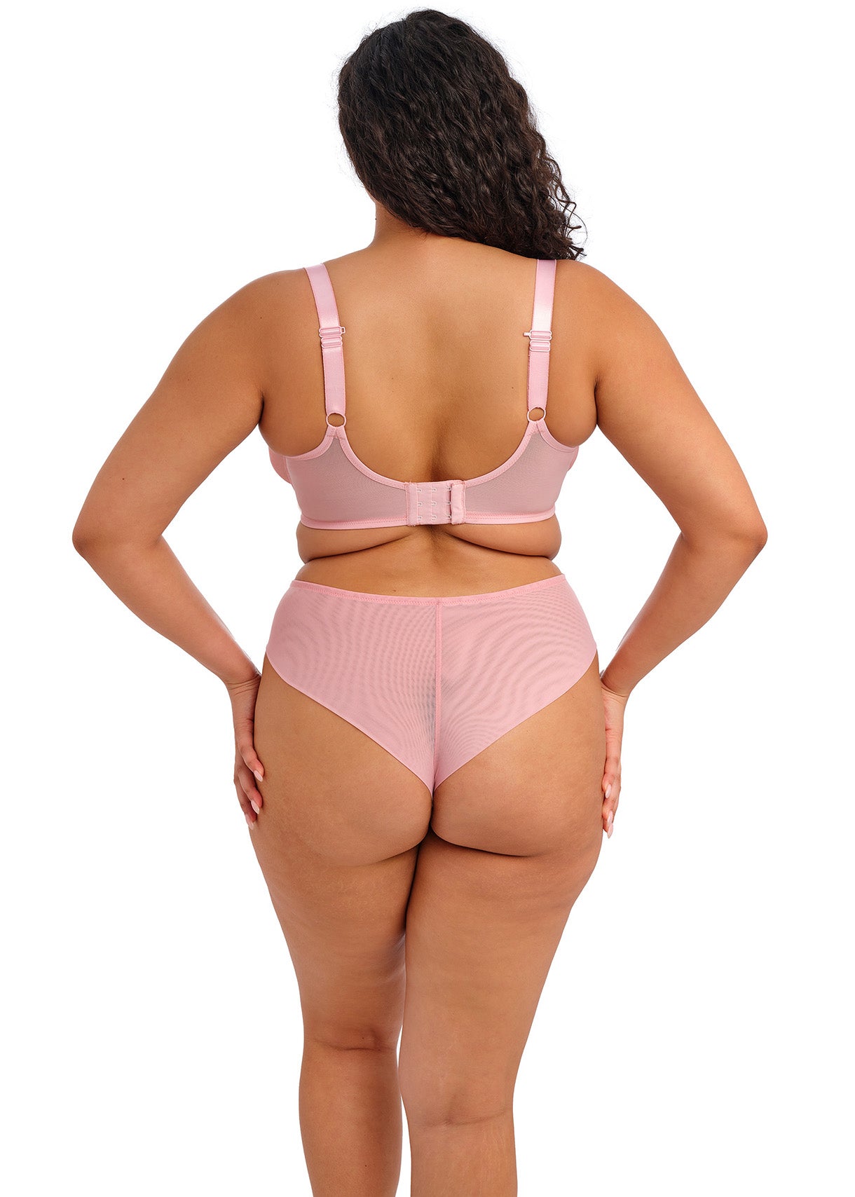Aerith Brazilian Brief, Rose