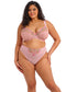 Aerith Brazilian Brief, Rose