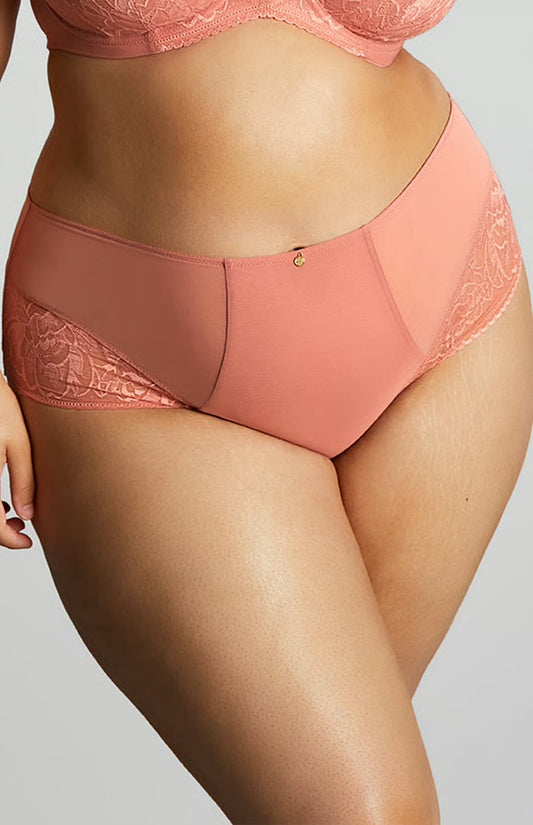 Dream Brief
