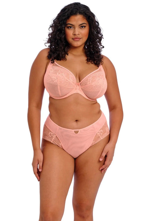Elomi Plunge Kendra