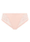 Illusion Brief