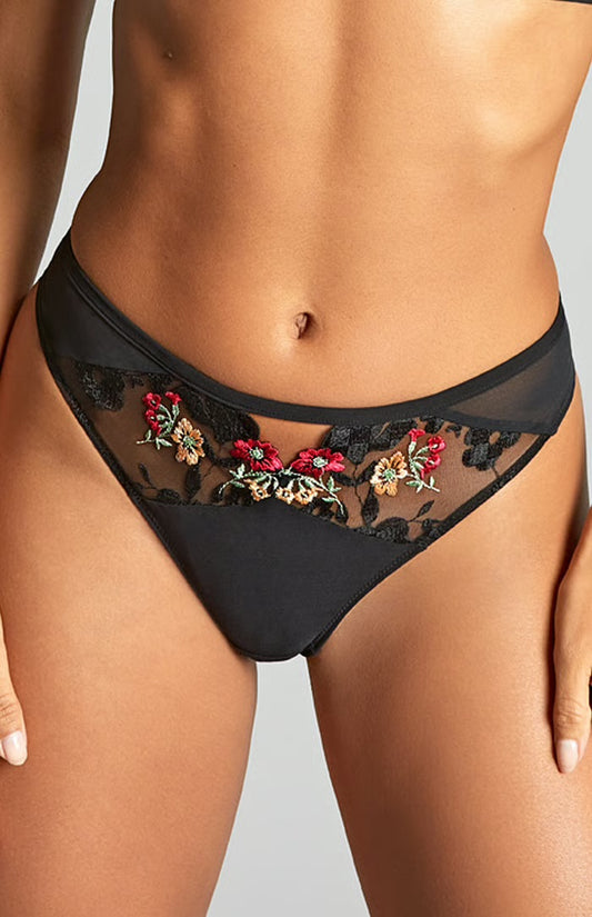 Ottilie Brazilian Brief