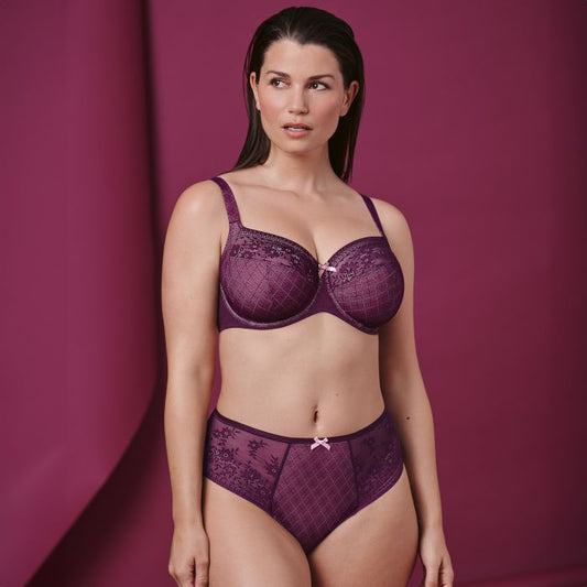 Rosemary High Waist Brief