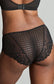 Envy Brief