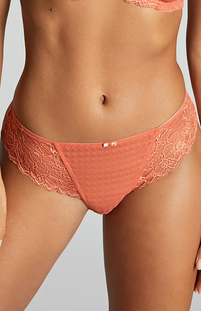 Envy Brief