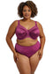Kiera Brief