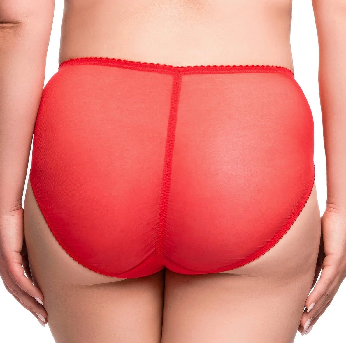 Rosewyn Hi Cut Brief