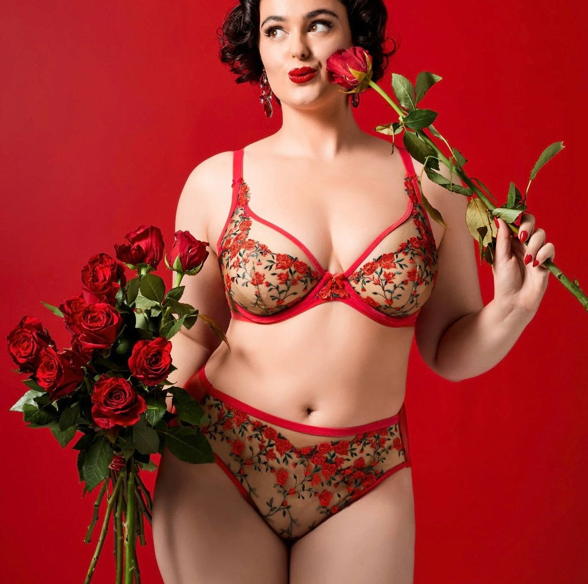 Rosewyn Hi Cut Brief