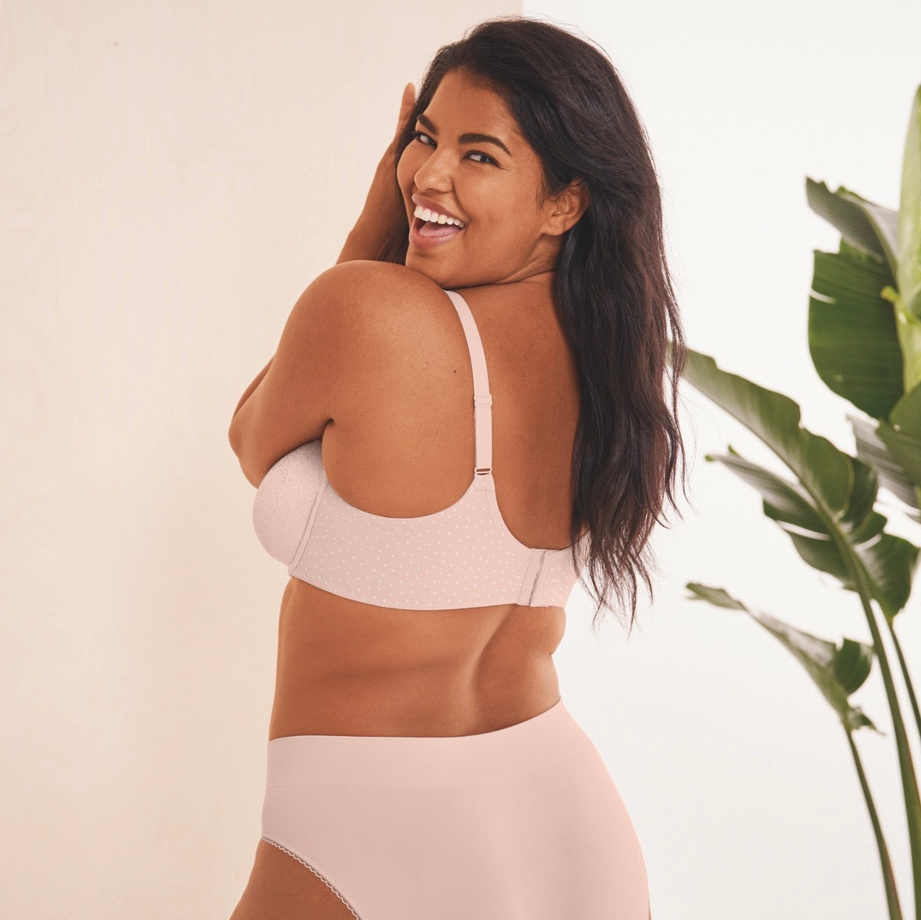 Back Appeal, Rose Dust