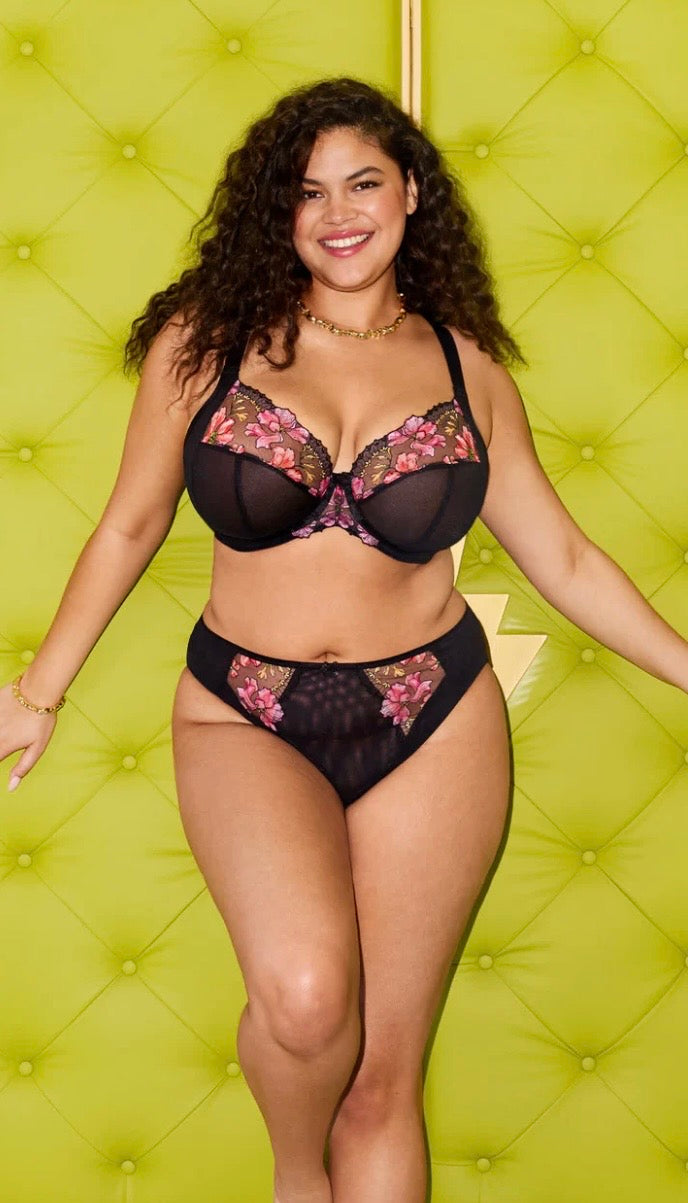 Teagan Plunge, Rainbow