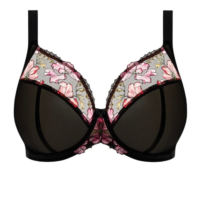 Teagan Plunge, Rainbow