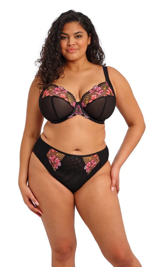 Teagan Plunge, Rainbow