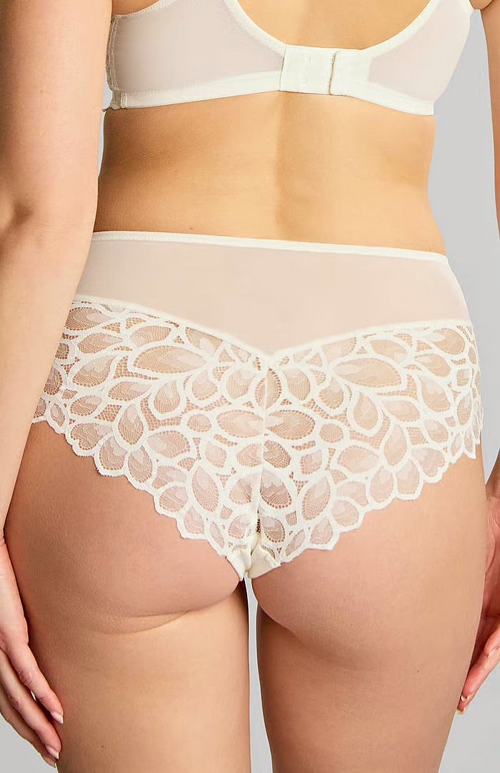 Allure Deep Brief