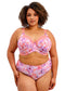Kayla Brief