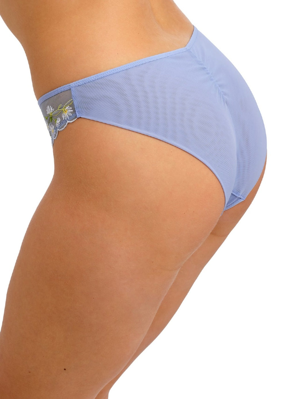 Entwined Brief, Daisy