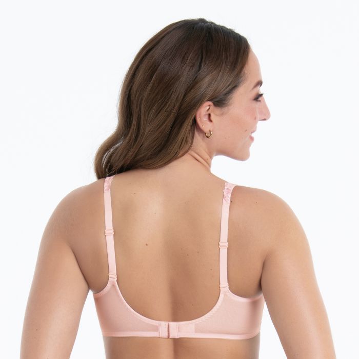 Suzette Full Cup, Wild Rose