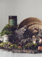 Forest & Brooks Wooden Wick Candles 8 OZ - IN STORE PICK UP ONLY