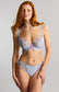 Ana Plunge, Cornflower