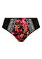 Morgan High Leg Brief