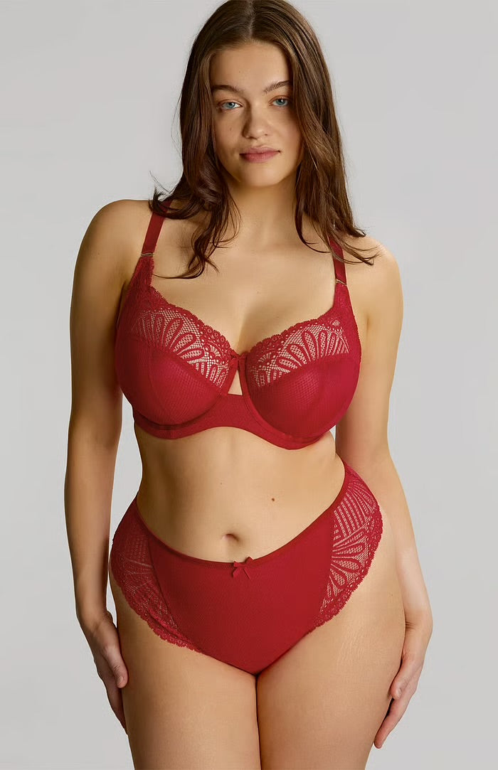 Entice Brazilian Brief