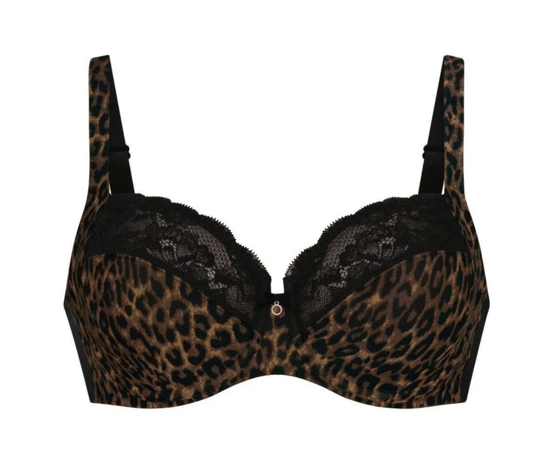 Rosa Faia Liz Full Cup, Gold Cat