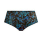 Kayla Brief
